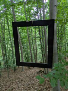 Wald-Reset